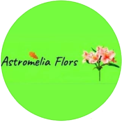 Astromèlia Flors